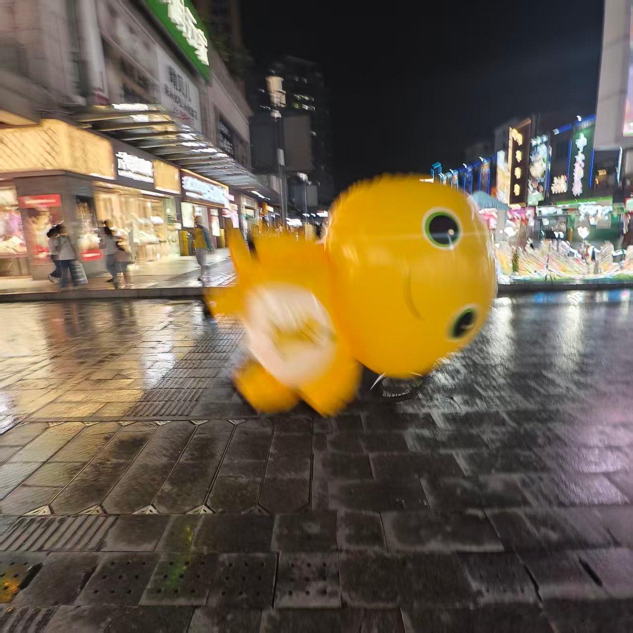 我的新宠物☺️ 