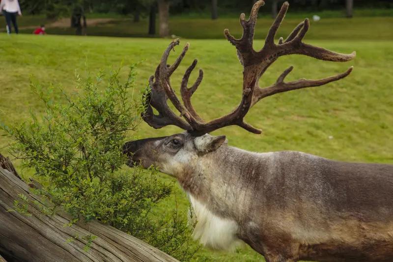 胡歌庆幸在成为父亲前接演《三滴血》，这背后藏着演员的共情与挣扎。11月15日《三