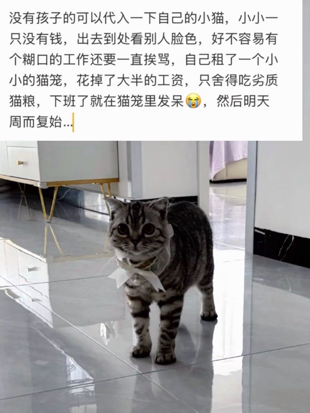 认可👇 