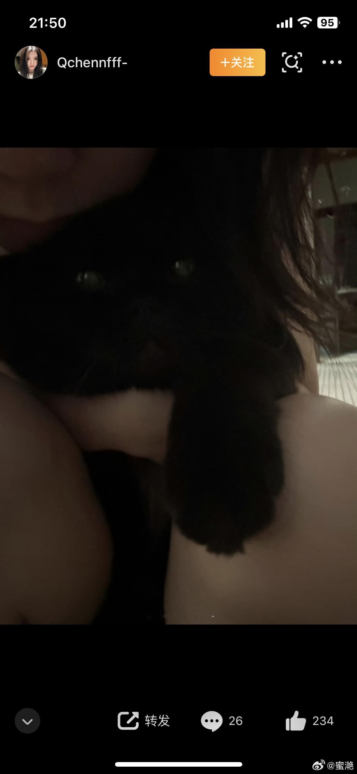 你能看到🐈⬛吗？ 