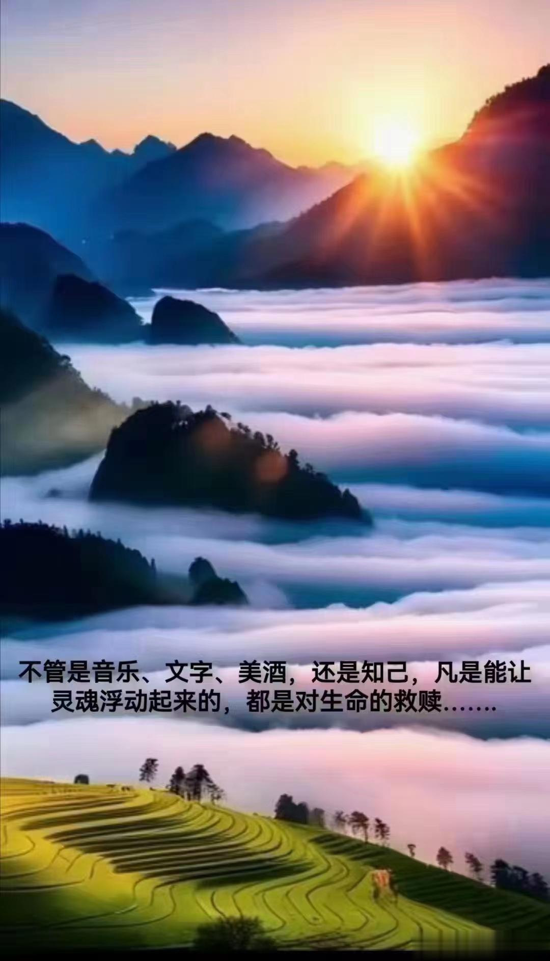 六年的痛风，一个方子，舒服解决[赞] #论道岐黄#痛风是时代病，现在似乎很多，为