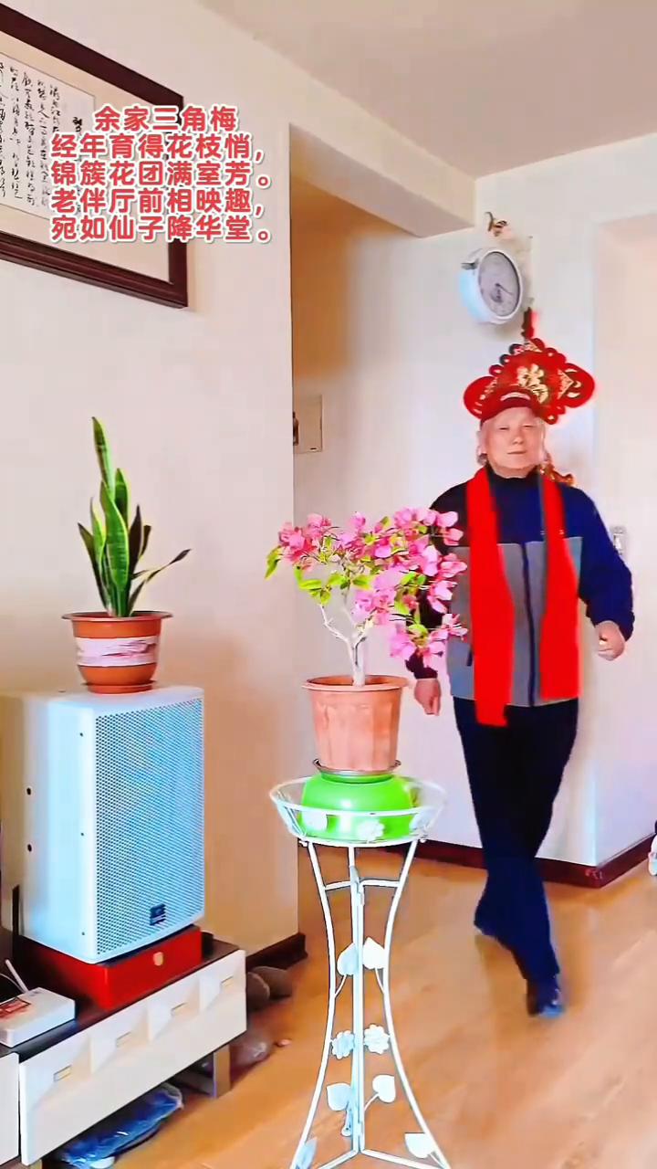 余家三角梅。
经年育得花枝悄，锦簇花团满室芳。老伴厅前相映趣，宛如仙子降华堂。