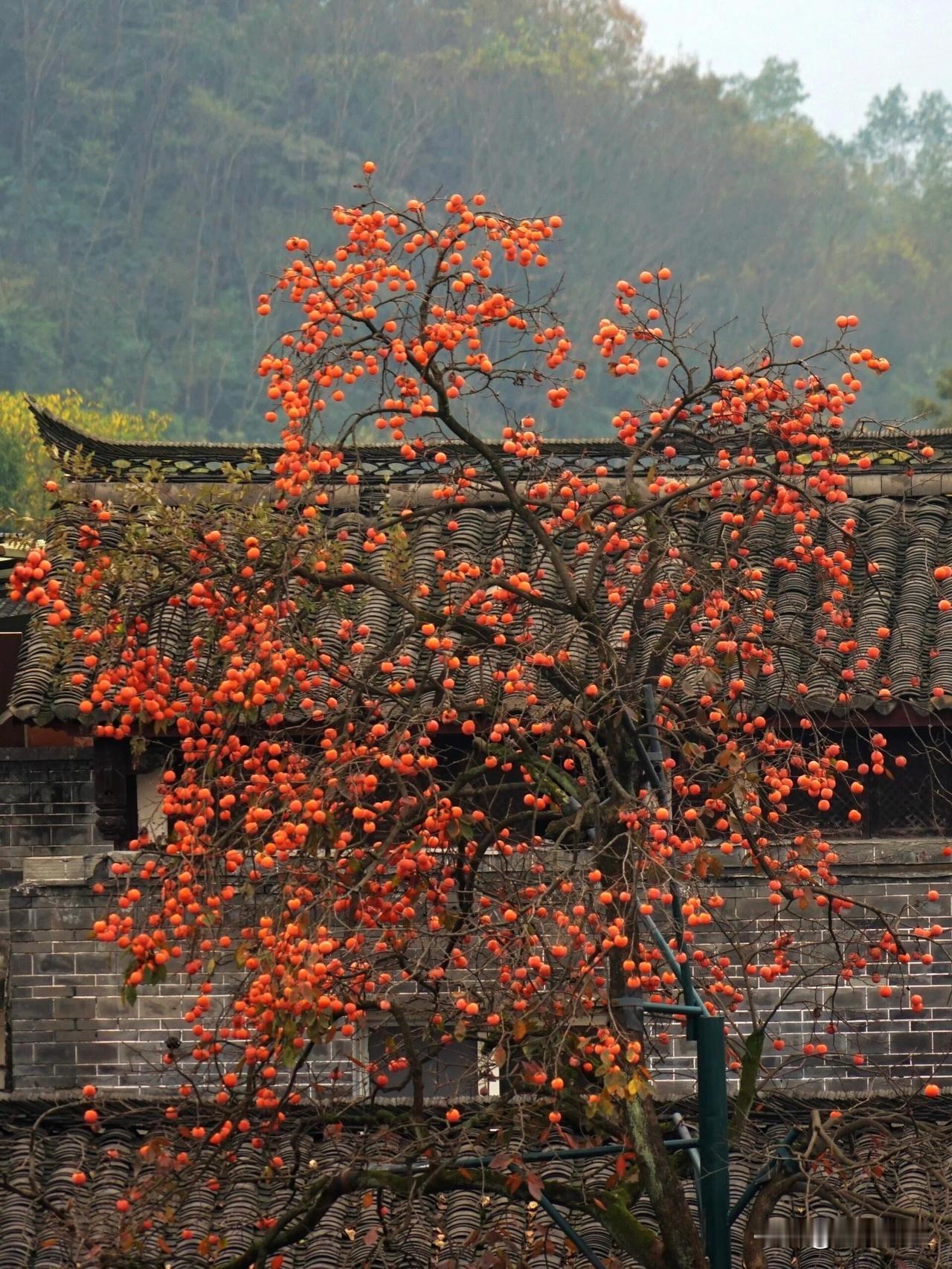 创作训练营2期开营啦这一周又过去了一半了，创作训练营活动的任务加上这一篇才刚刚完