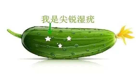 哎呀，这事儿可真让人哭笑不得！你堂姐夫这感染的来由可真够奇特的。听他说是因为打牌