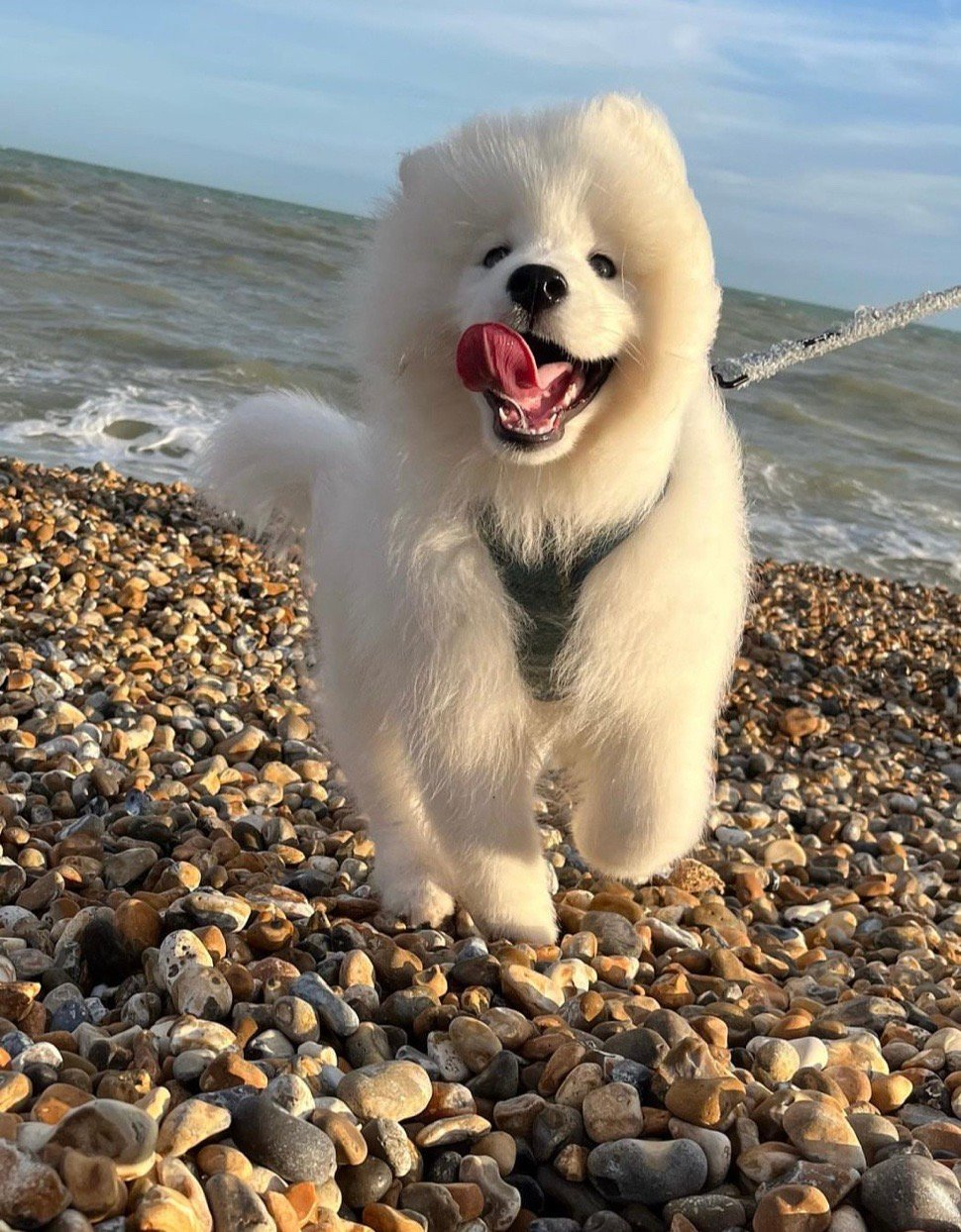 人，站住别动，我来啦！ 