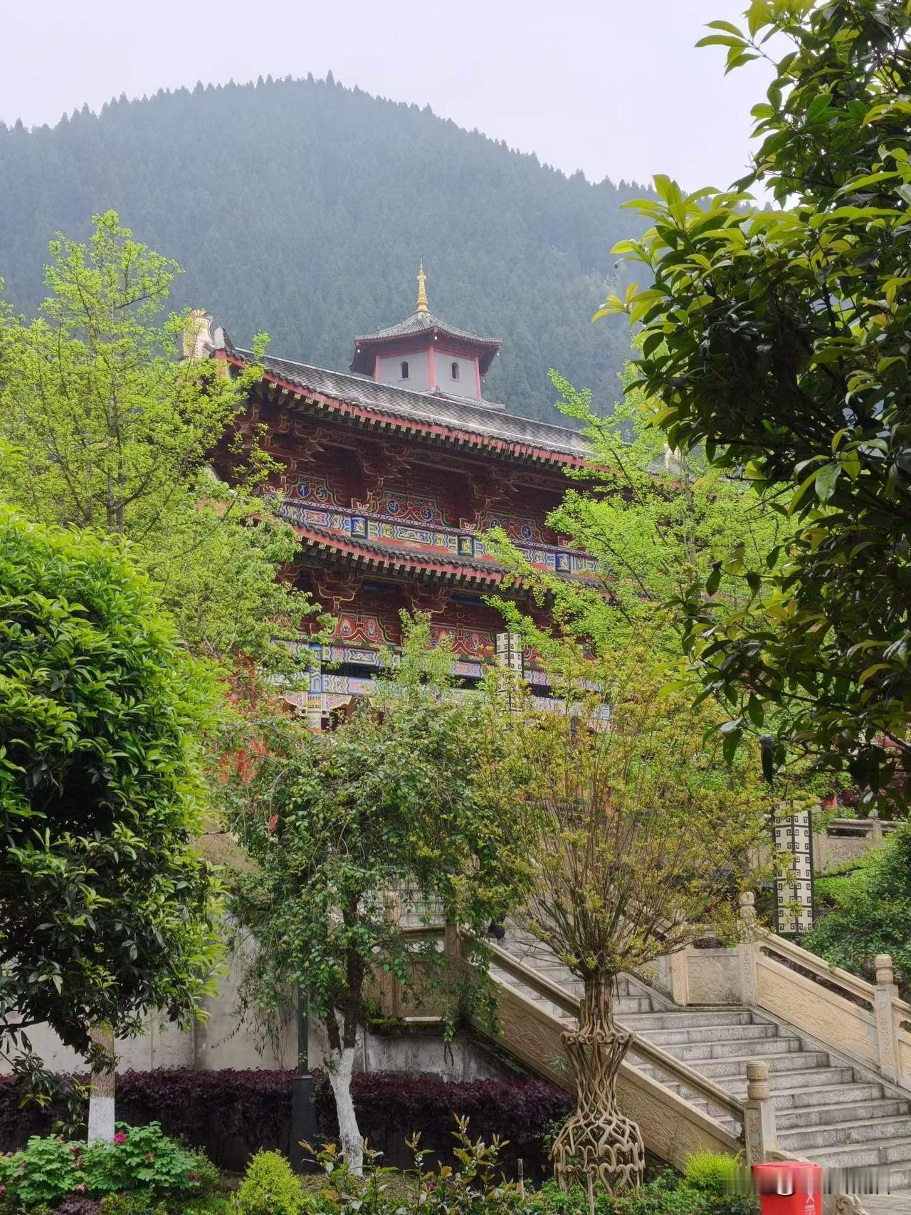 彭州市清凉寺藏在九峰山深处，海拔1200多米。这里剑柏森森，小桥亭阁。山泉从后山