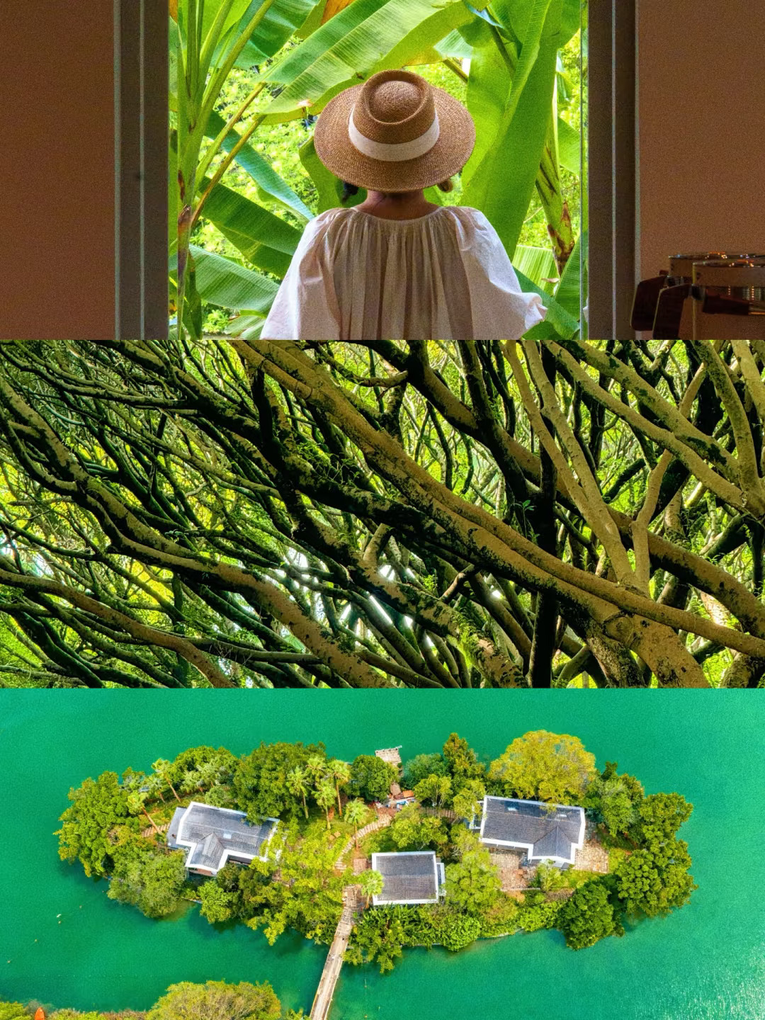 温州太卷了｜一家咖啡店☕️承包了一座岛