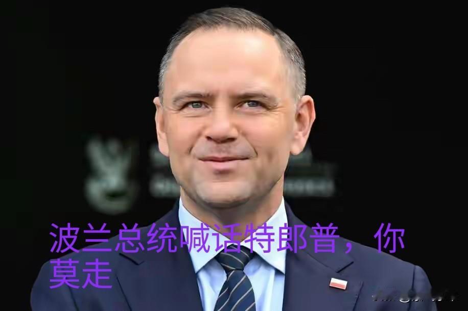 波兰总统卡罗尔·纳夫罗茨基公开喊话特朗普。

波兰希望并且愿意接纳更多的美军，希