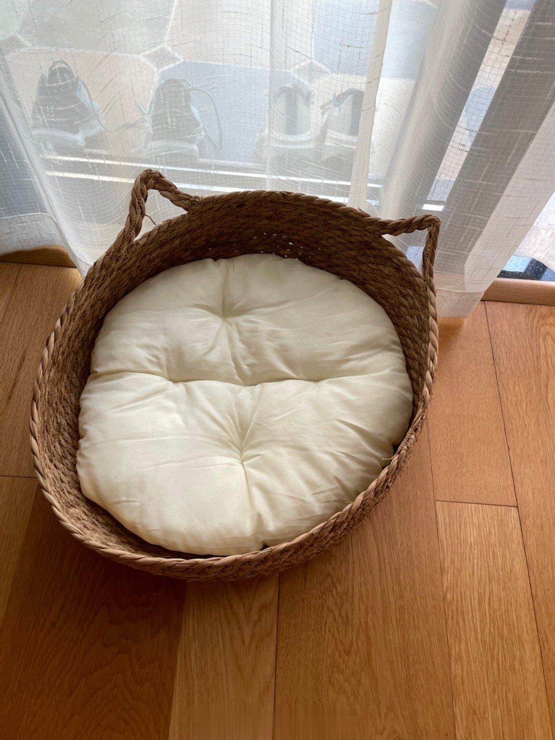 #萌宠那些事[超话]# 新窝窝，压得有点歪七扭八的，被处女座小猫咪给嫌弃了…… 