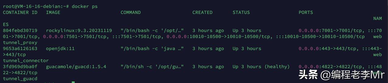 周末用 docker 重构了内网穿透隧道的部署方式，目前仅需一行 docker 