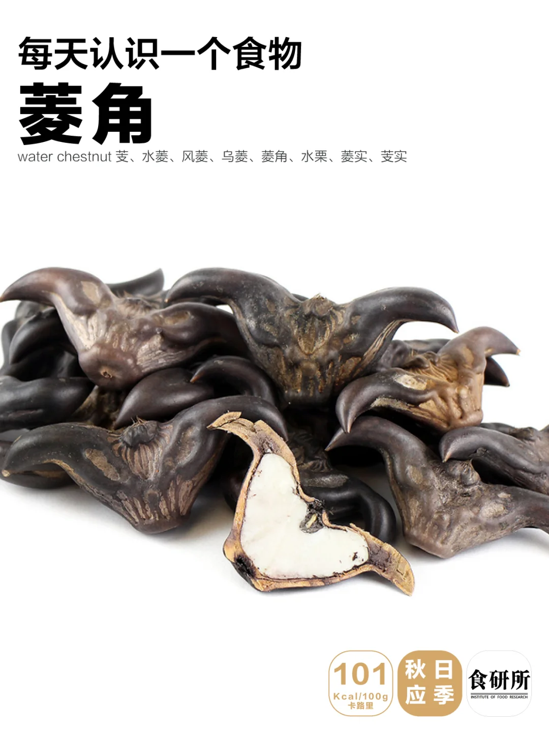 春和景明，弹歌「采菱」