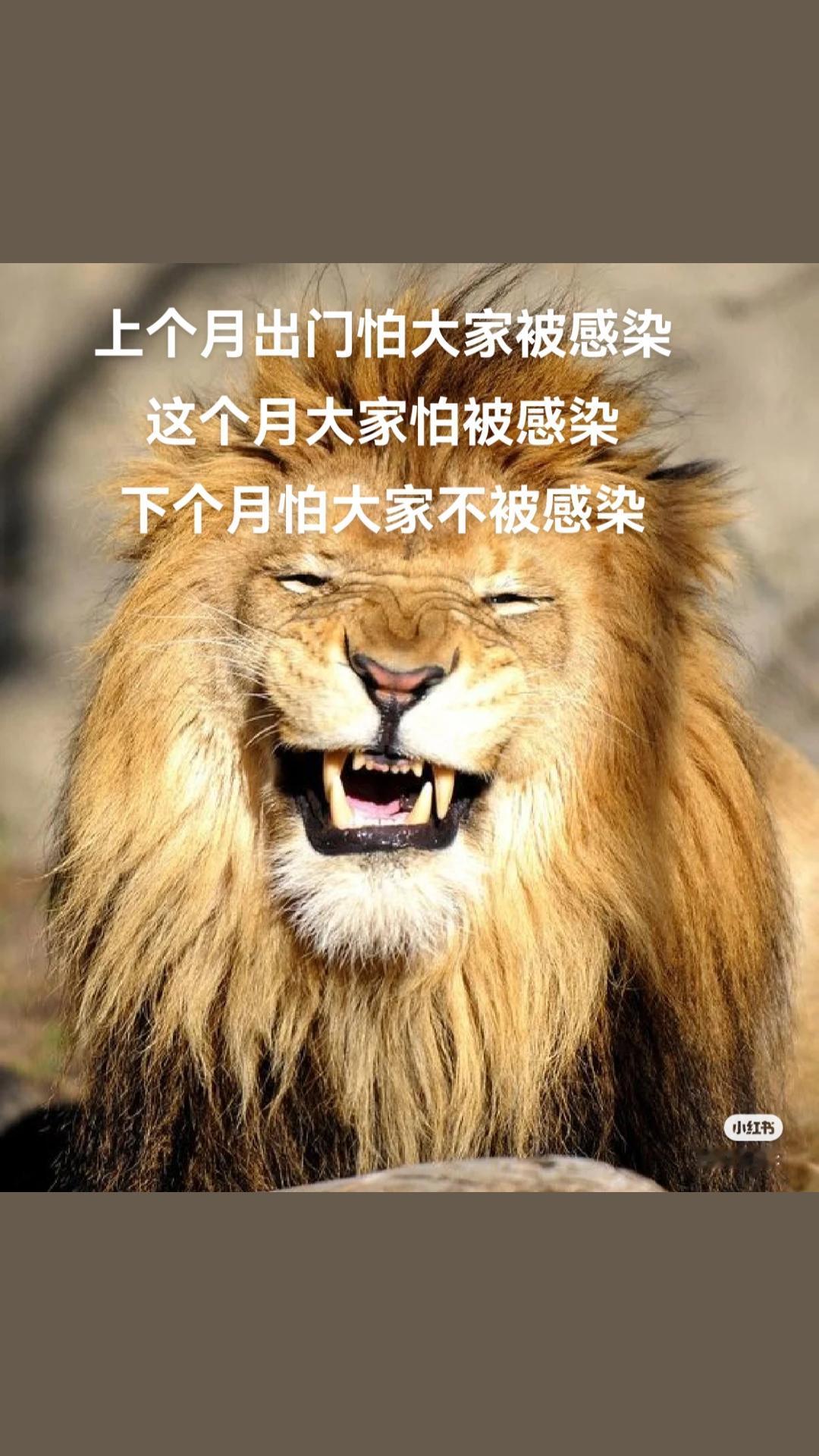 病毒还是那个病毒 ，只是换了一个名字！唯一不同的是：我们躺平了