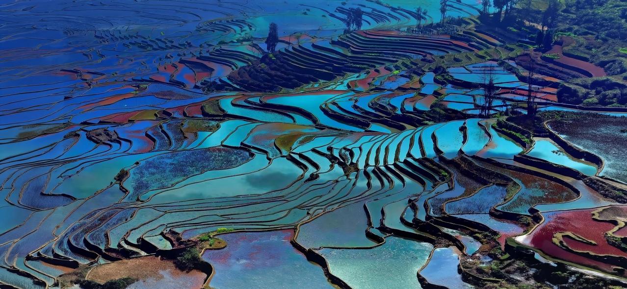 梯田风景