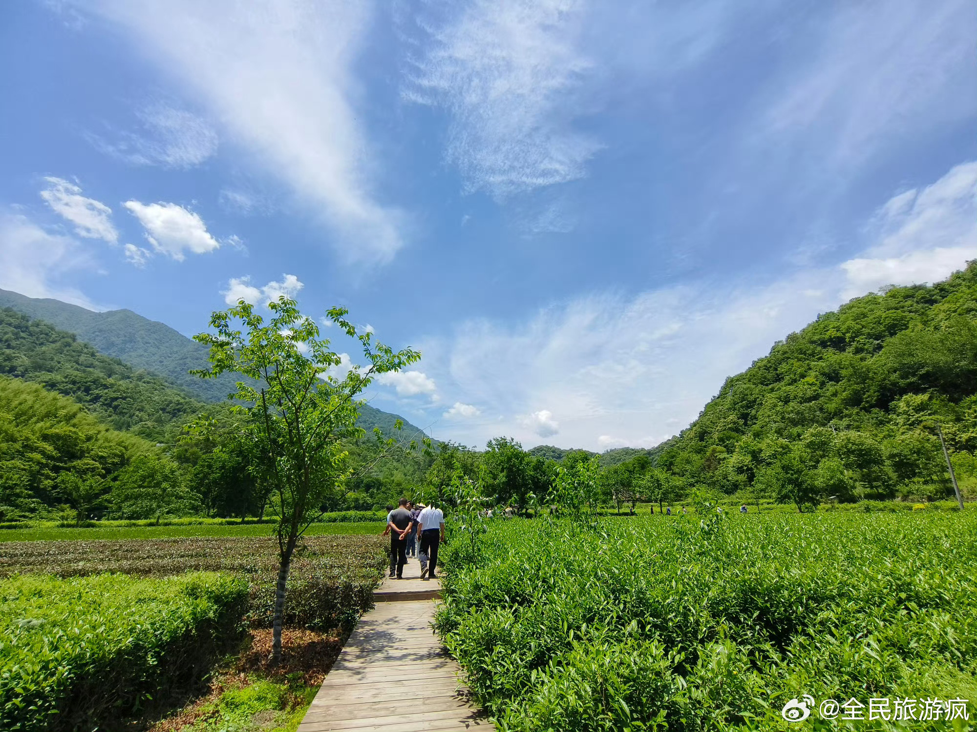 甘肃康县生态康养地 【文化入景，康养更有温度】 康县的生态康养不止于自然风光，更