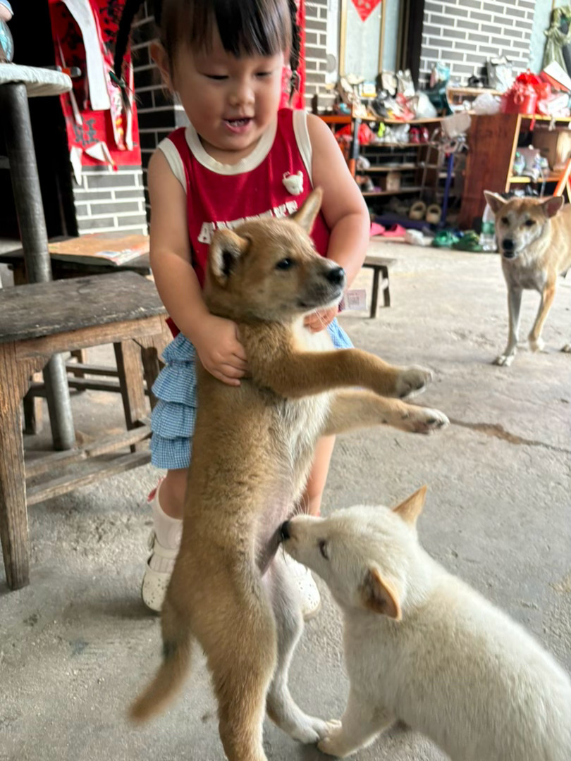 小狗勾 