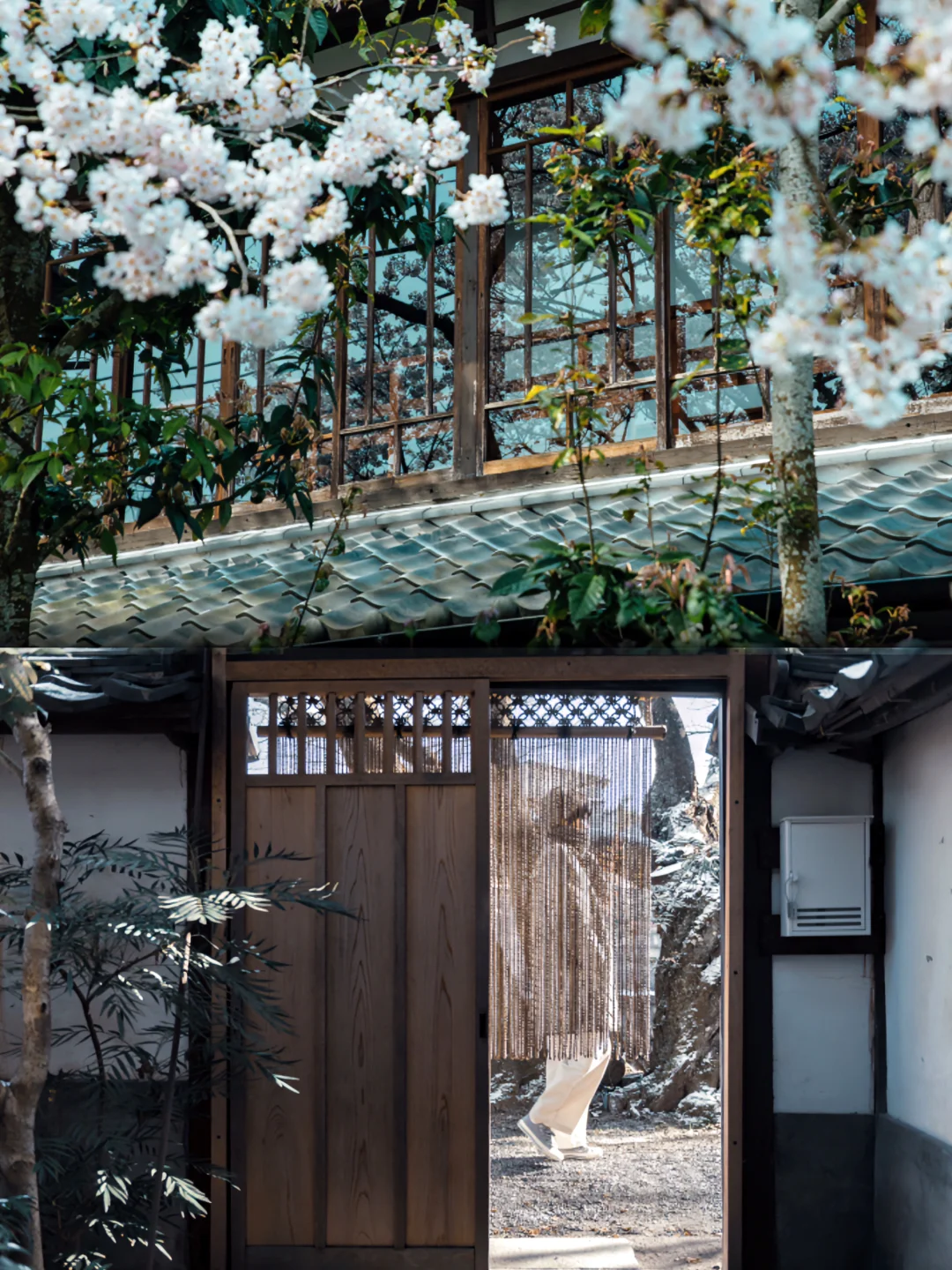 日本旅行🌸人均200住进了绝美日式民宿！