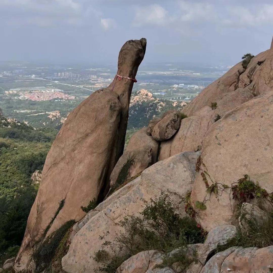 年轻人都在青岛打卡马年骏马石等这两天没事儿我也去打卡在线帮粉丝们求祝福青岛一块马