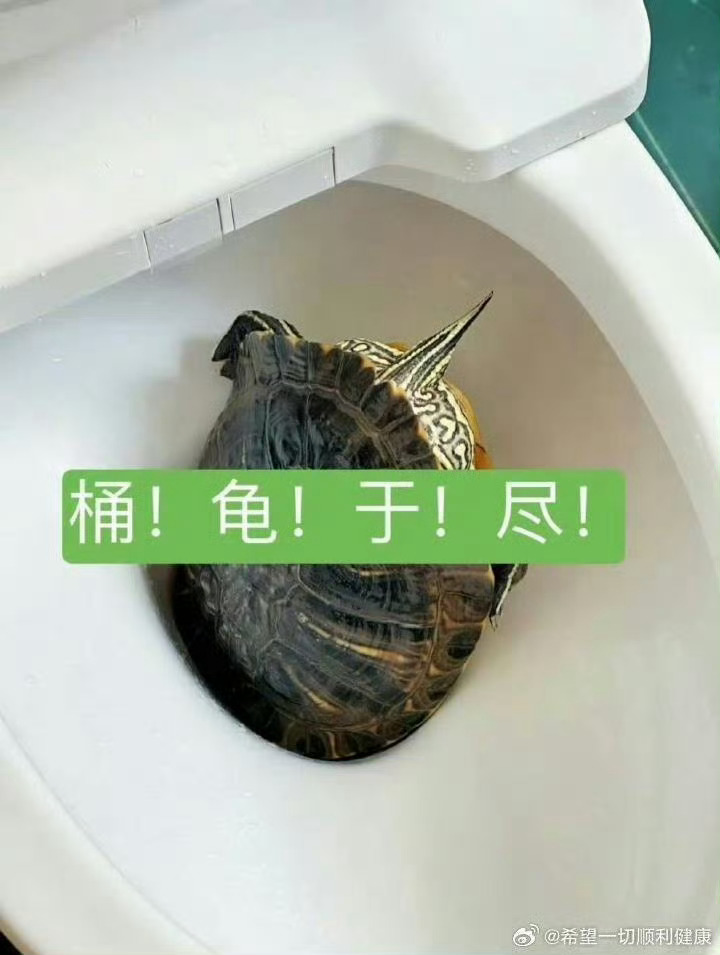 哈哈哈哈，好搞笑的啊！ 