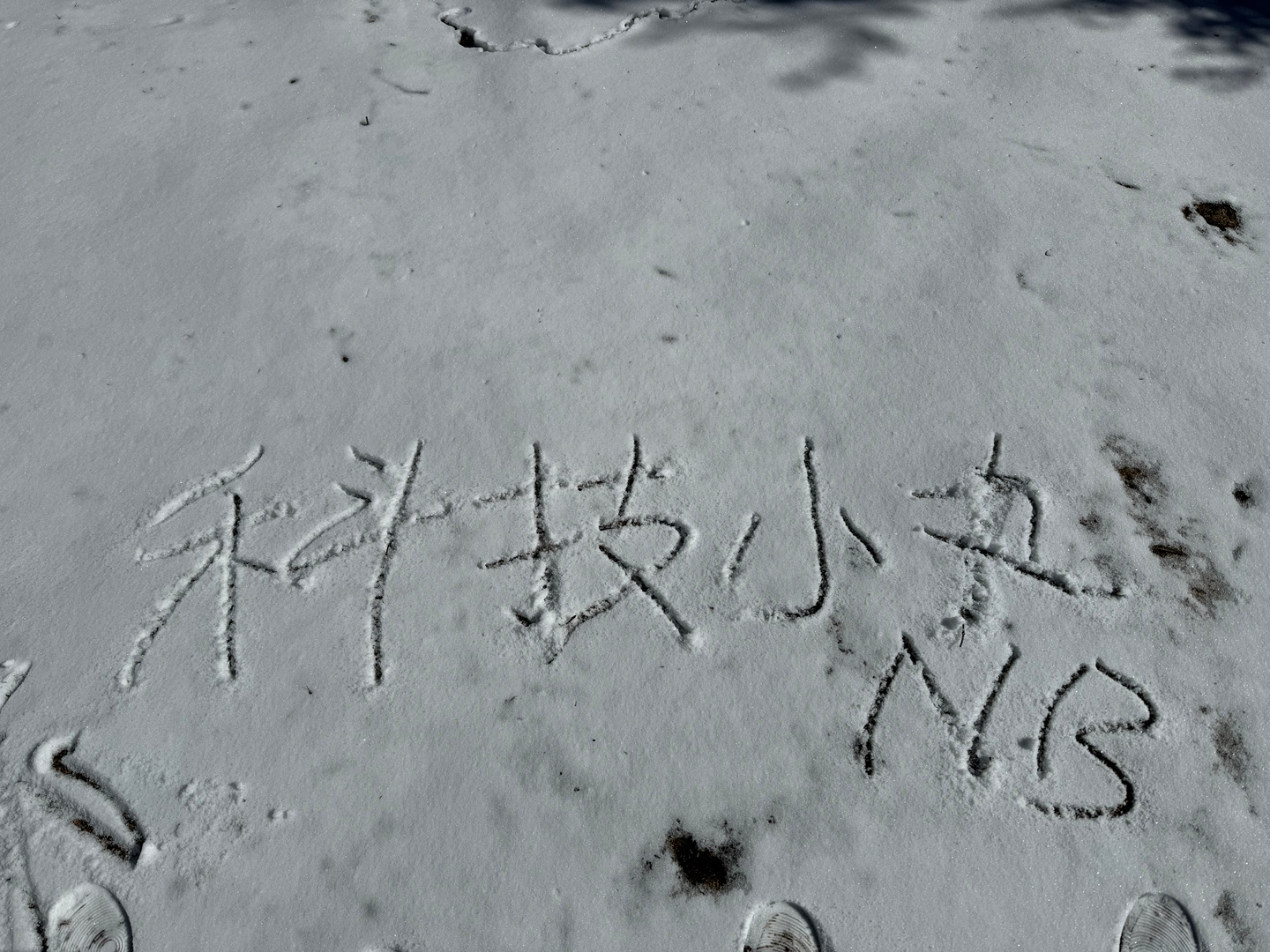 四川是去不了了，只能在在深圳点个水煮肉片解解馋了[苦涩][苦涩] 好香啊水煮肉片
