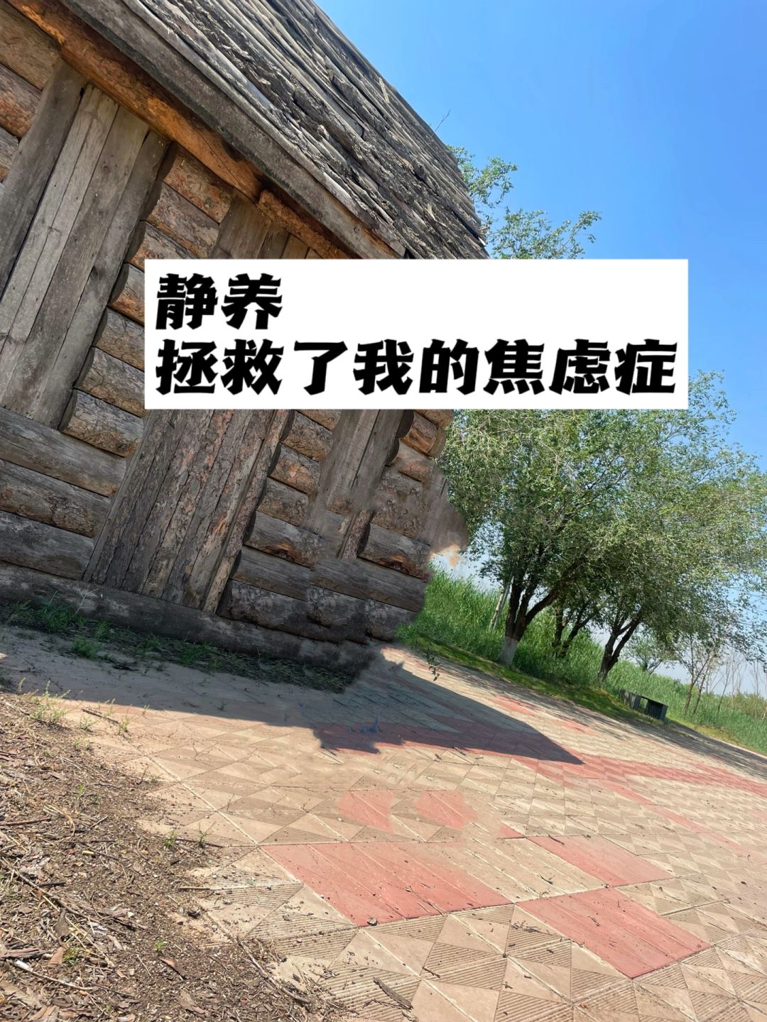 静养，拯救了我的焦虑症.