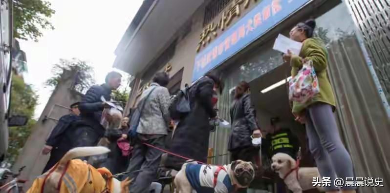 杭州限狗令落地，养狗人月花上千，凭什么让不养狗的人替他兜底?
 
如今城市里养犬