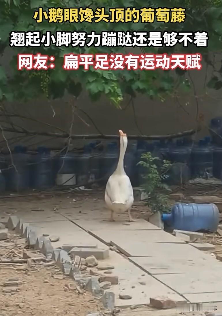 上联：来来去去，来去不定
   下联：进进出出，进出无常