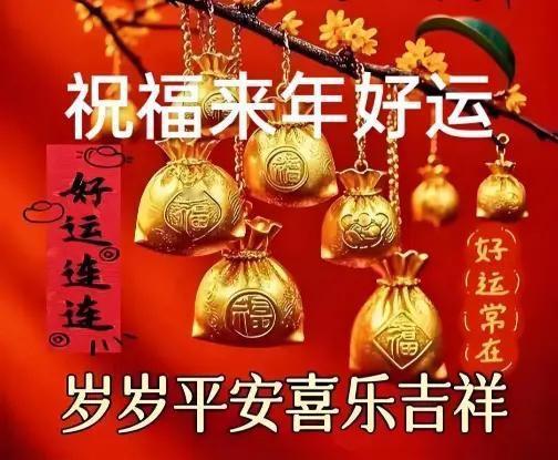 蛇年：慢牛、指数牛、科技牛、结构牛、小票牛……

蛇年最牛的还是：某某队、大小非