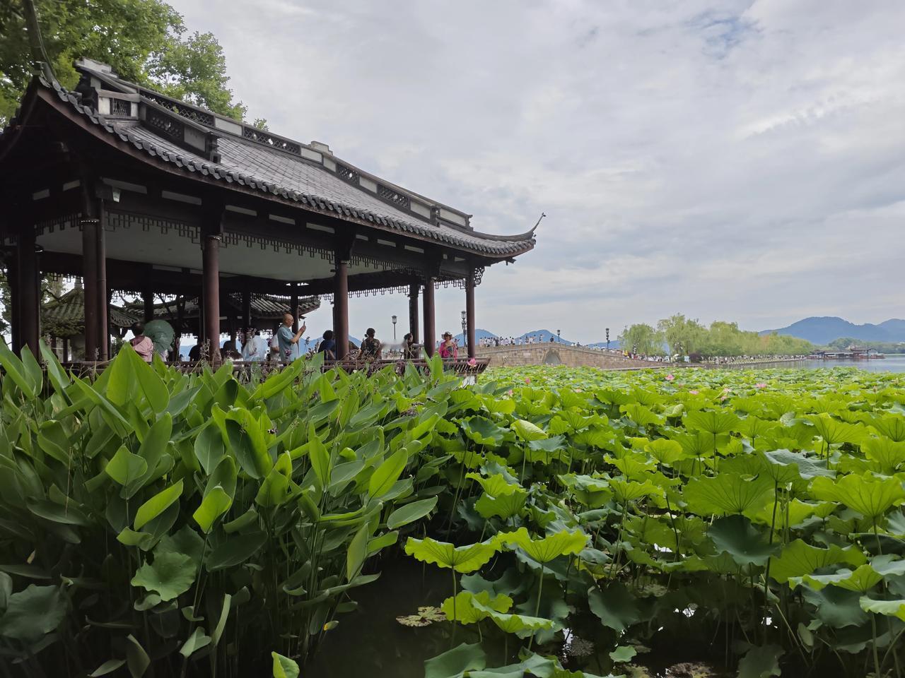杭州西湖夏天的断桥真的很美，而且无论从那个角度看都是美不胜收，怨不得许仙和白娘子