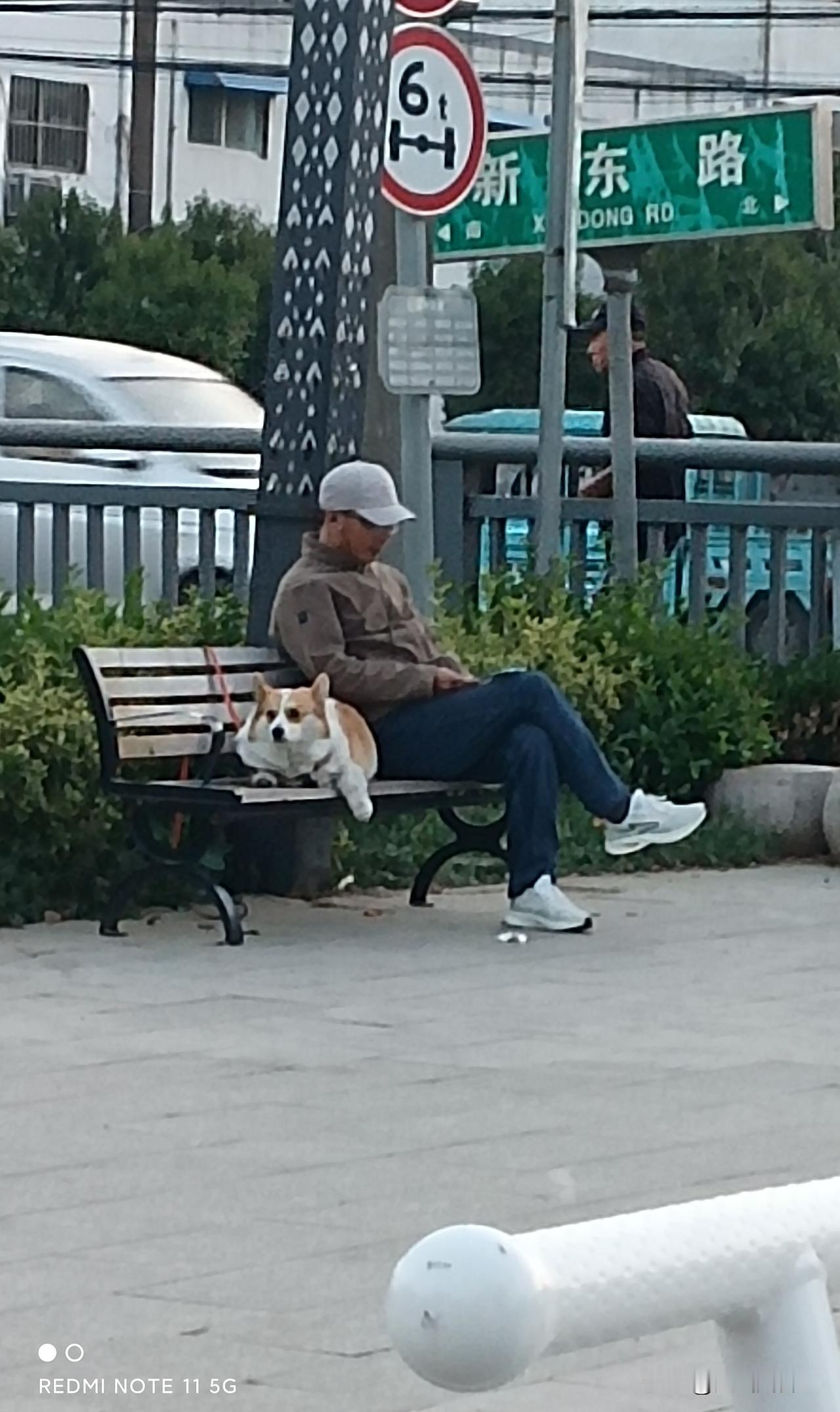 宠物狗能与人一样吗？
新东路上的长椅本是供路人歇脚的公共空间，可有人却将宠物随意