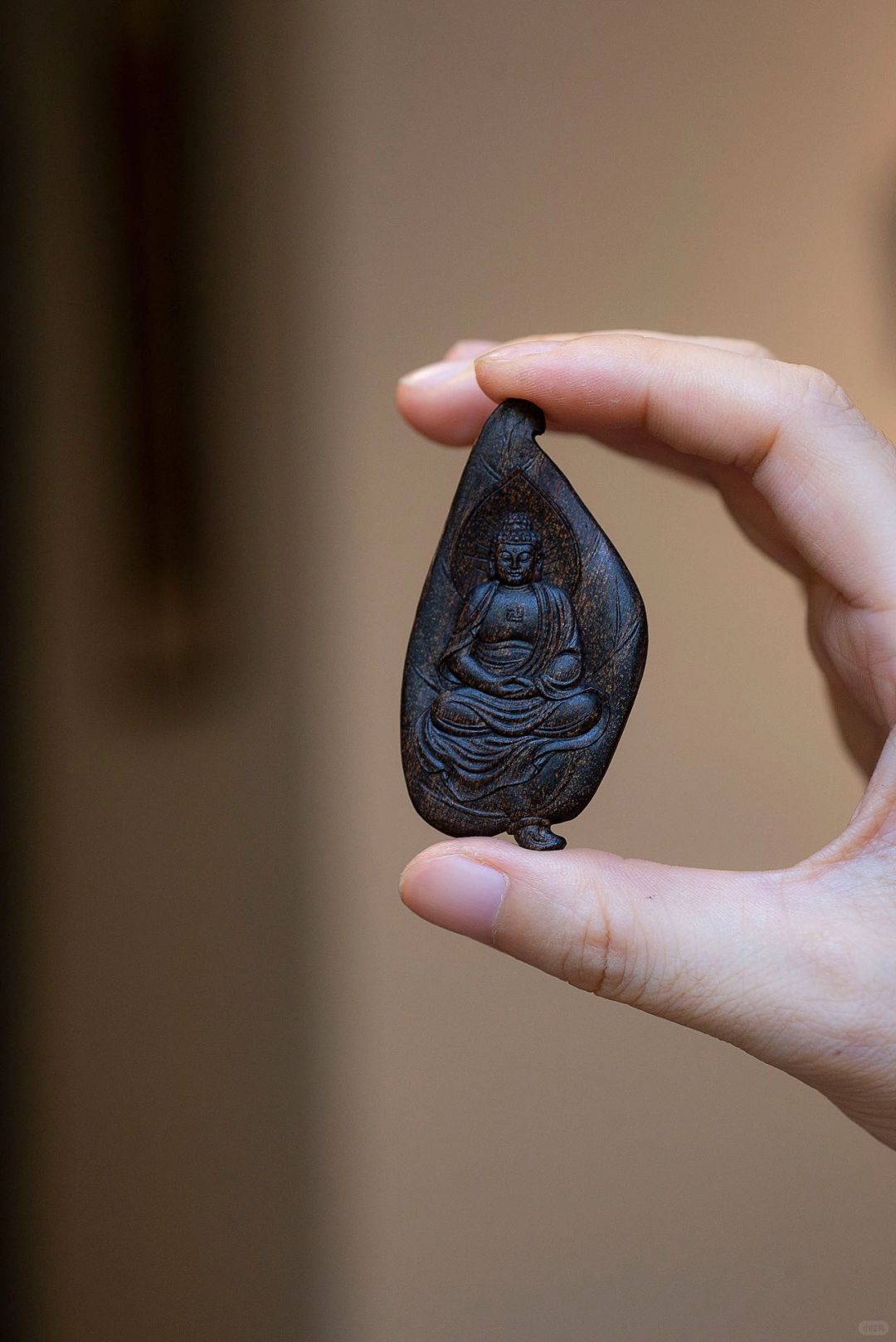 坐亦禅，行亦禅， 一花一世界【一叶一如来】