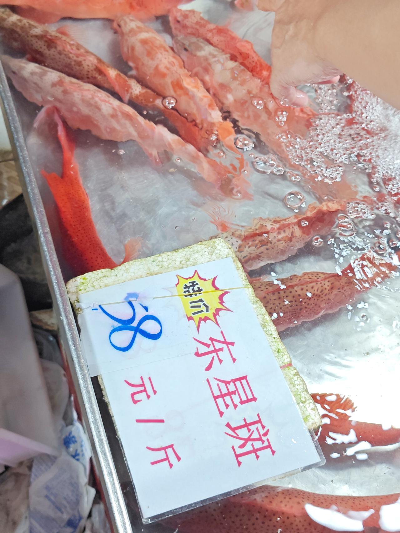 广州沙园，东星56，杂斑20，白鳝28，多宝20，黄脚立28，杂笋20.

广州