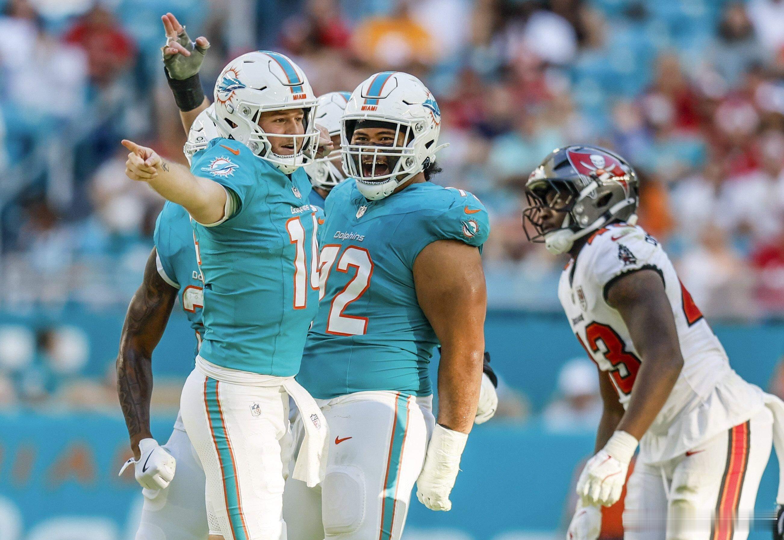 第17周海盗17：20海豚 