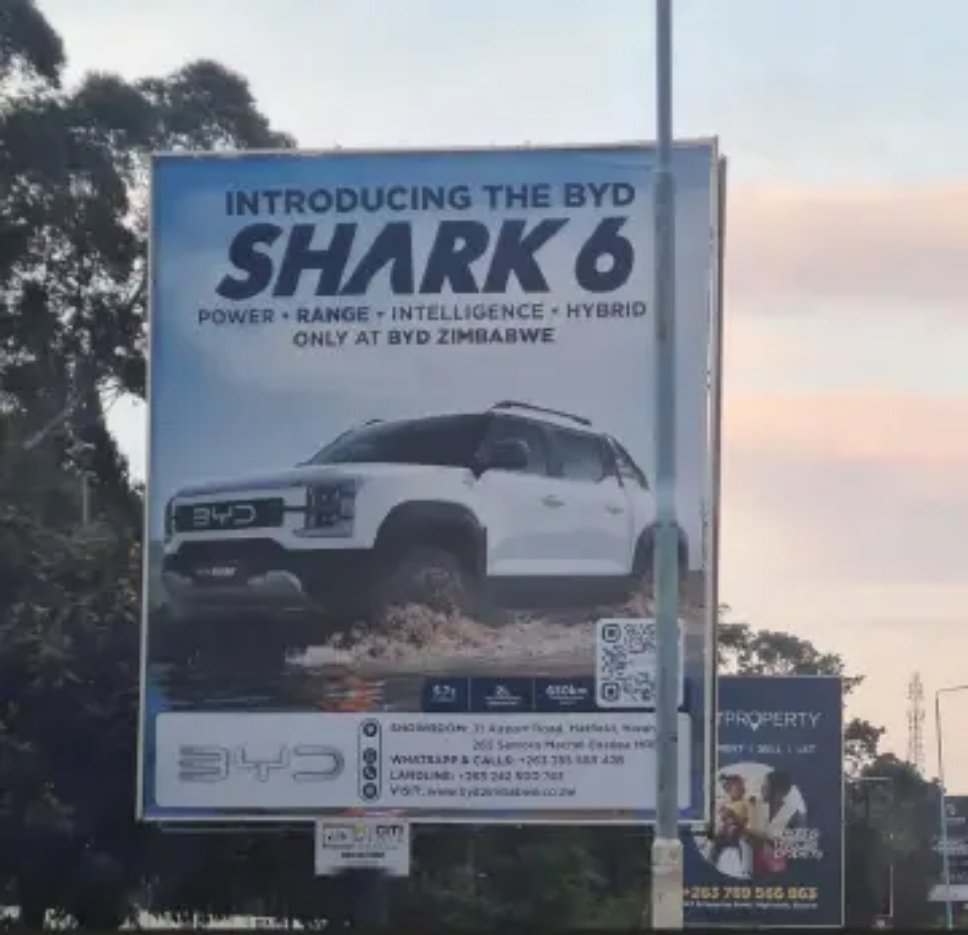 鲨鱼皮卡都卖到了津巴布韦🇿🇼汽场全开电车出海比亚迪鲨鱼皮卡 ​​​