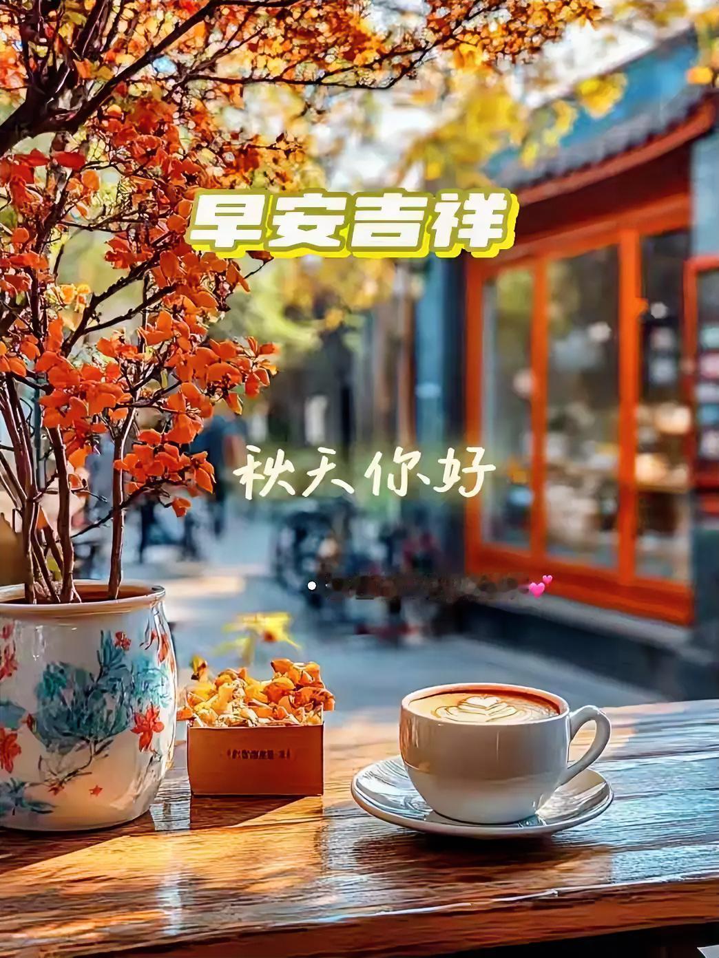 九月第一天，往事清零，未来可期，日子温柔闪光
早晨美图打卡