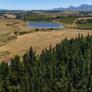 《伊犁河谷的战略地位：中国西北的资源宝库与历史变迁》伊犁河谷的战略地位：中国西北