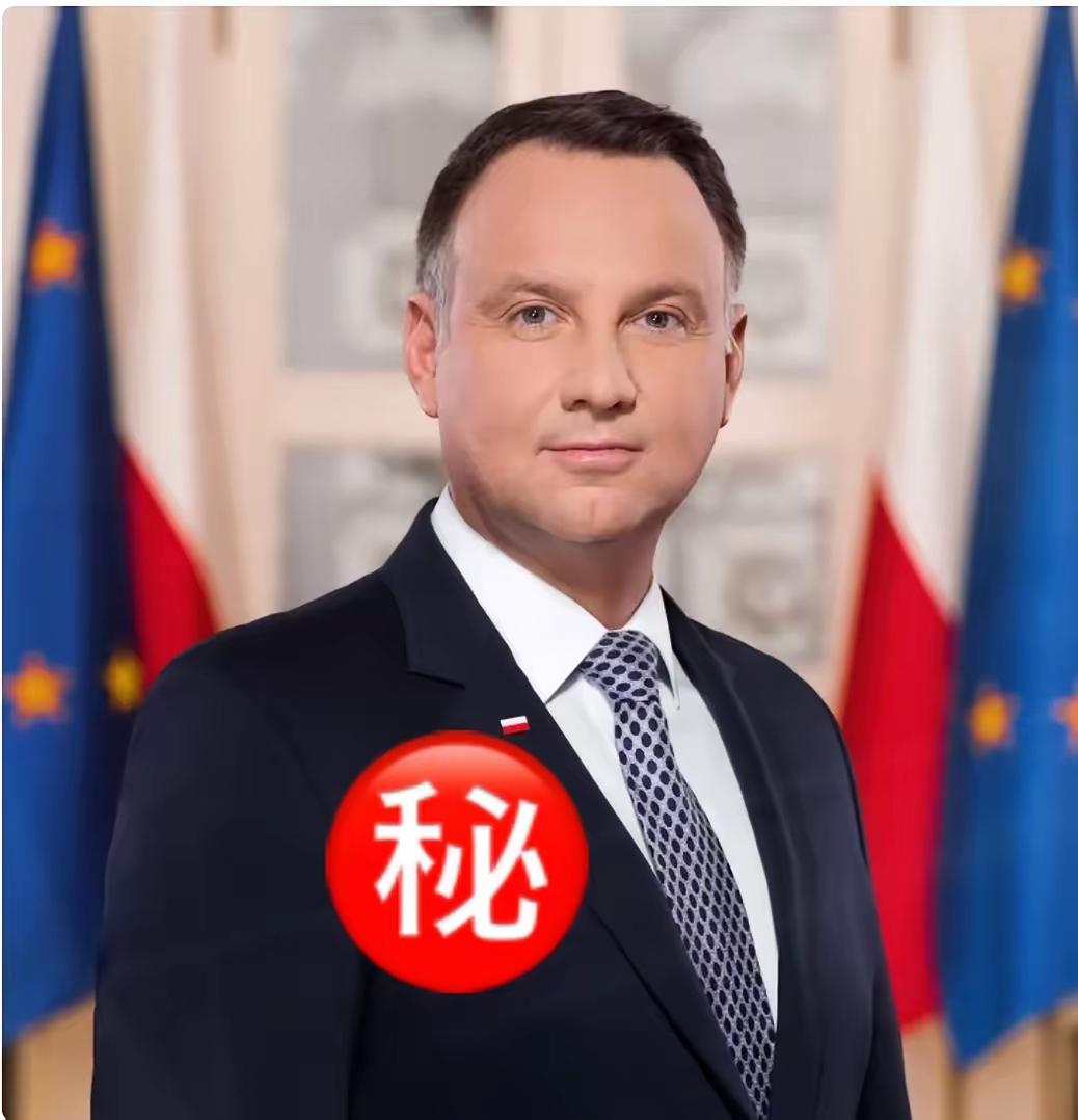 刚刚
​波兰总统宣布了
​波兰近几日的强硬表态令人印象深刻：提升防空等级、派战机