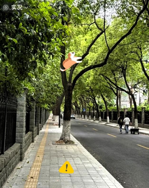 暴风雨前的宁静最致命
 
提前通知大家，还有11天，也就是7月15日上午9点56