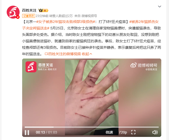 女子被养2年猫攻击致颅部3级损伤 5月25日，北京陈女士在清理自家宠物猫粪便时，