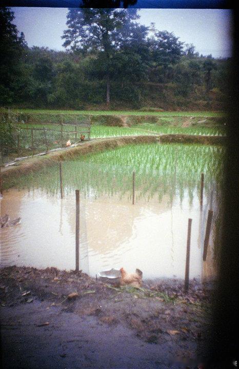 易烊千玺易烊千玺模糊的家照易烊千玺新年晒家乡照片模糊的胶卷家乡照来了 
