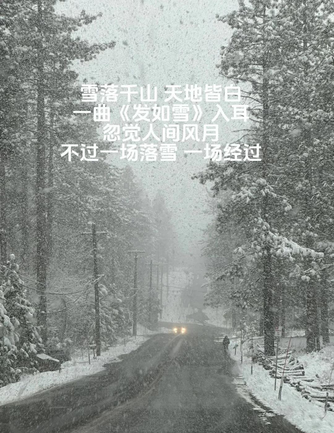 句句不提雪，句句大雪纷飞
像是误入了一场冬日电影。🎬
	
漫天飞雪盖住山林，车