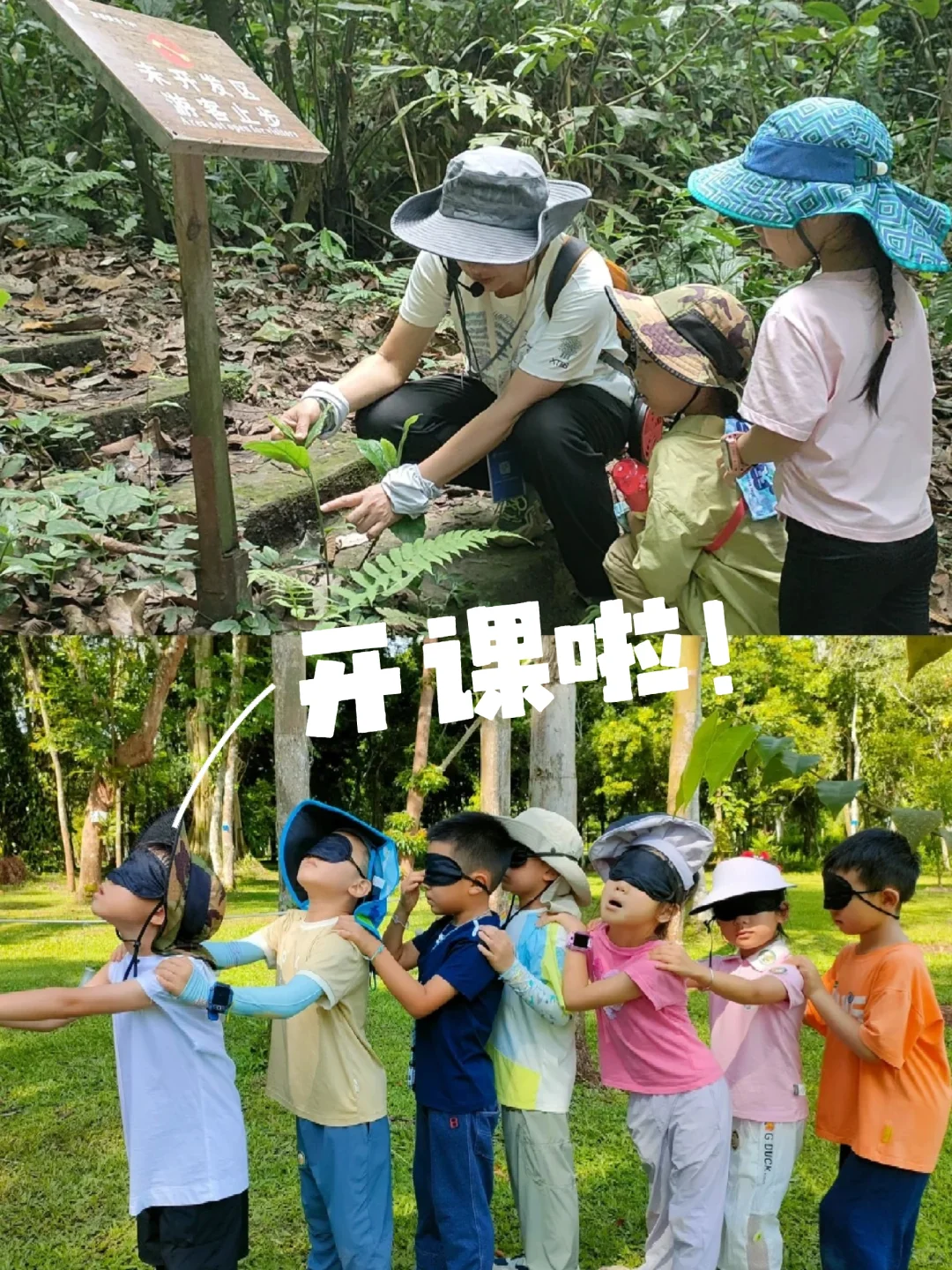 趣味科普大课堂正式开课啦！