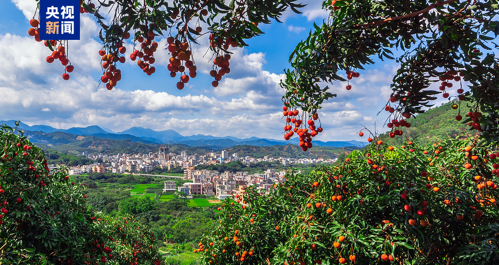 改革为犁破立前行 经济大省如何耕耘“头号工程”?