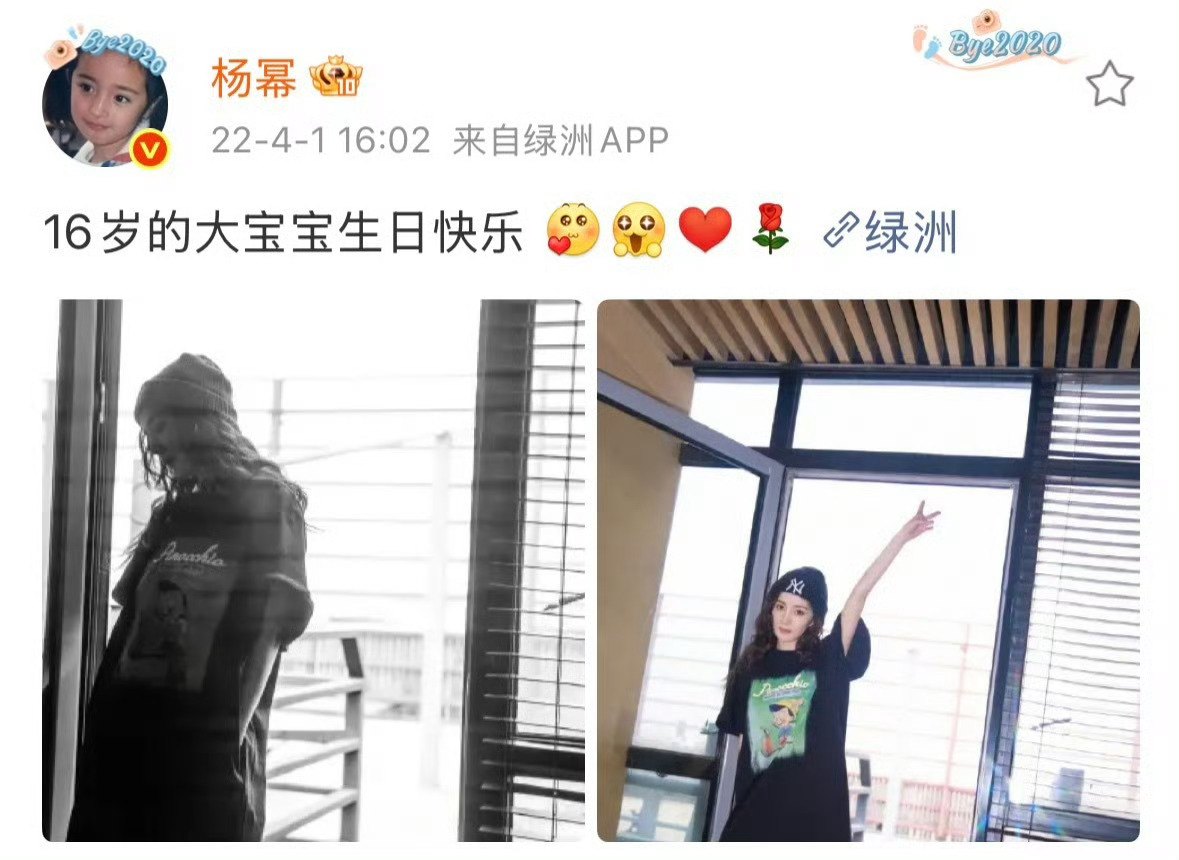 一颗一颗拼出爱意，一点一滴都是回忆。 祝绿苑二十岁生日快乐！感谢幂幂的仪式感，也