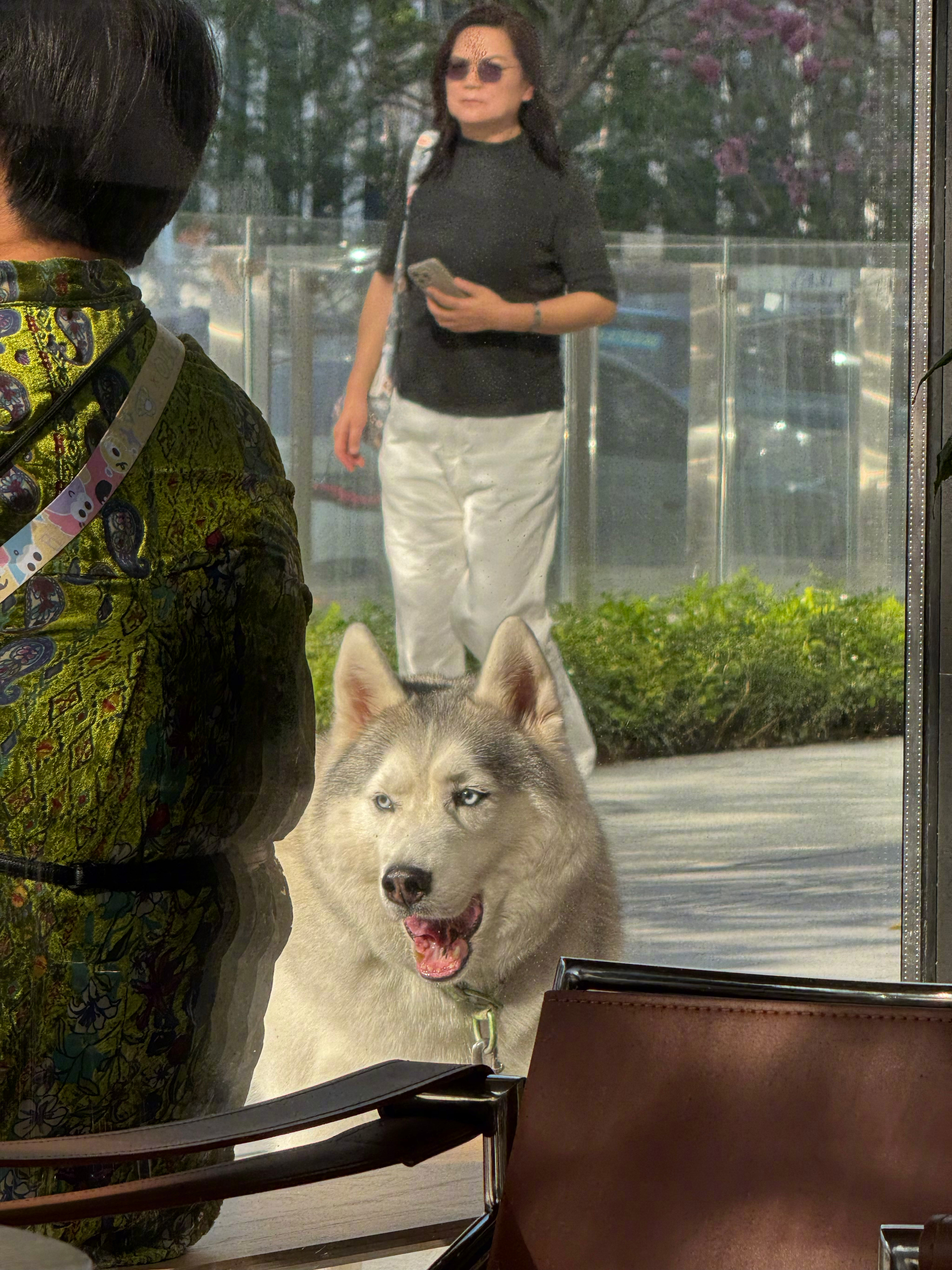 美好的事物是无用的。 美好的时光是被浪费掉的。 