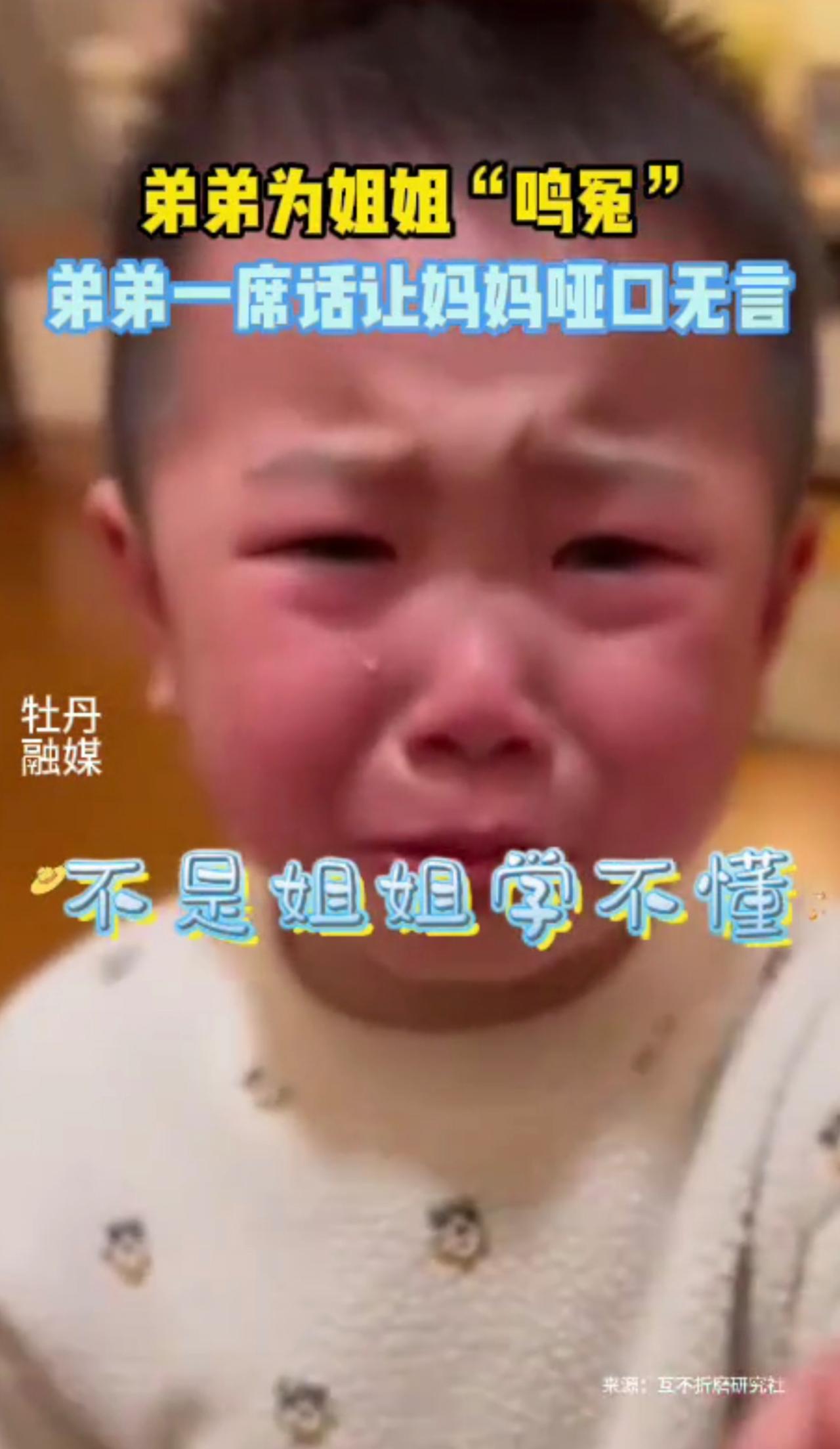 弟哭着为姐姐鸣冤，爸爸妈妈哑口无言。网友：条理清晰、口齿伶俐、句句在理。教育 姐