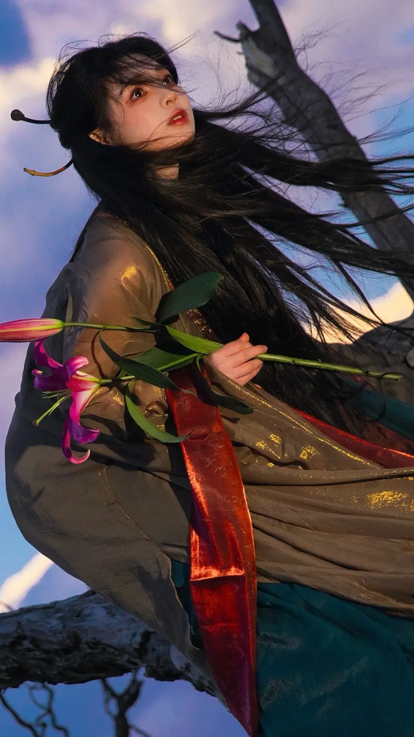 枯木生花。出镜：张家小界 还是大理洱海边这棵枯树
