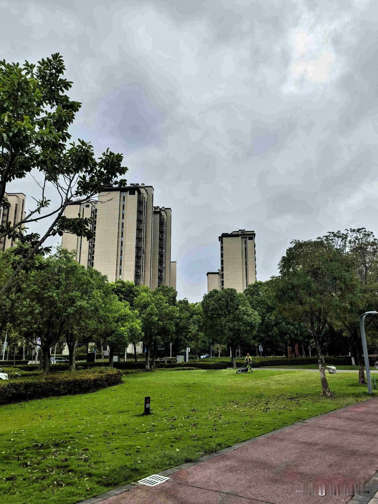 台风过后，天空放晴，漫步滨江公园，满眼的绿意中，偶遇园林工人正默默清扫落叶、修剪