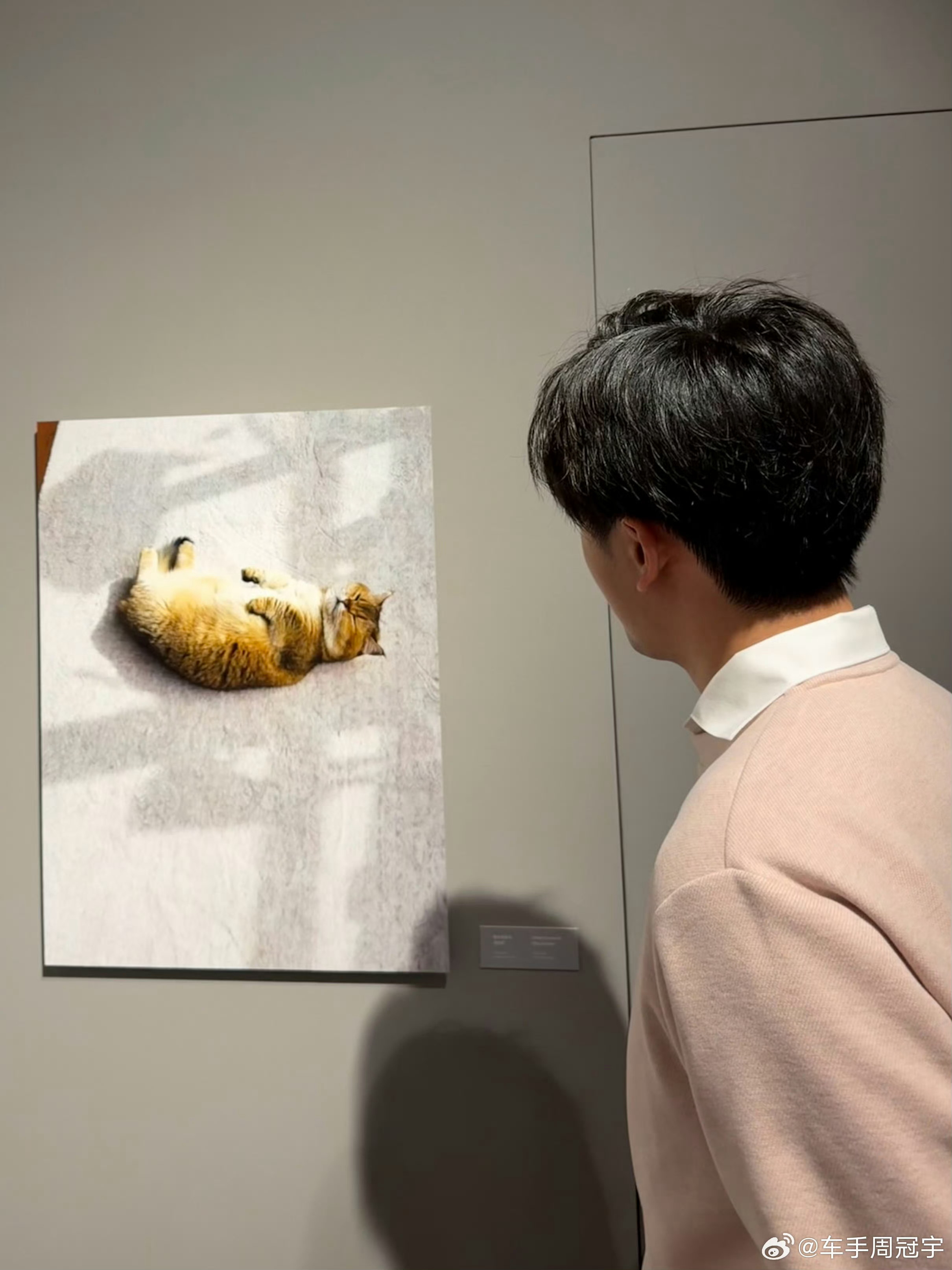 blackpink的周冠宇F1中国大奖赛周冠宇以粉墨风造型亮相个人摄影展，气场全