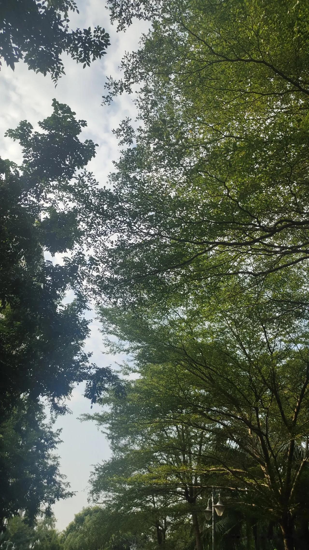 我今天突然发现，身边的同事们很喜欢龙宝宝，这两年公司的女同事们怀孕生宝宝的人很少