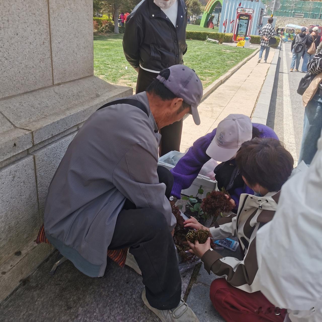 我喜欢买农民兄弟，
在道边儿卖的农副产品，
贵贱不说起码货真价实。

昨天风挺大